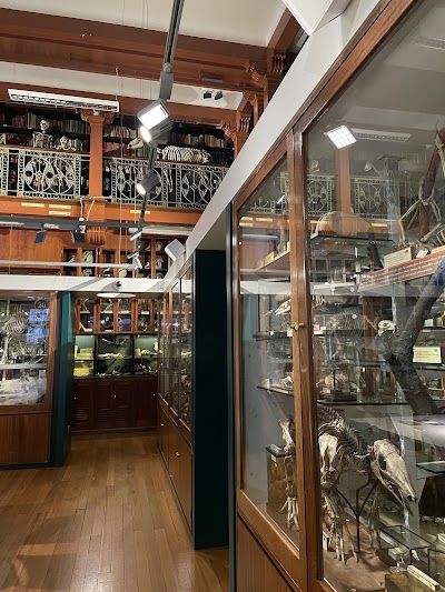 Grant Museum of Zoology